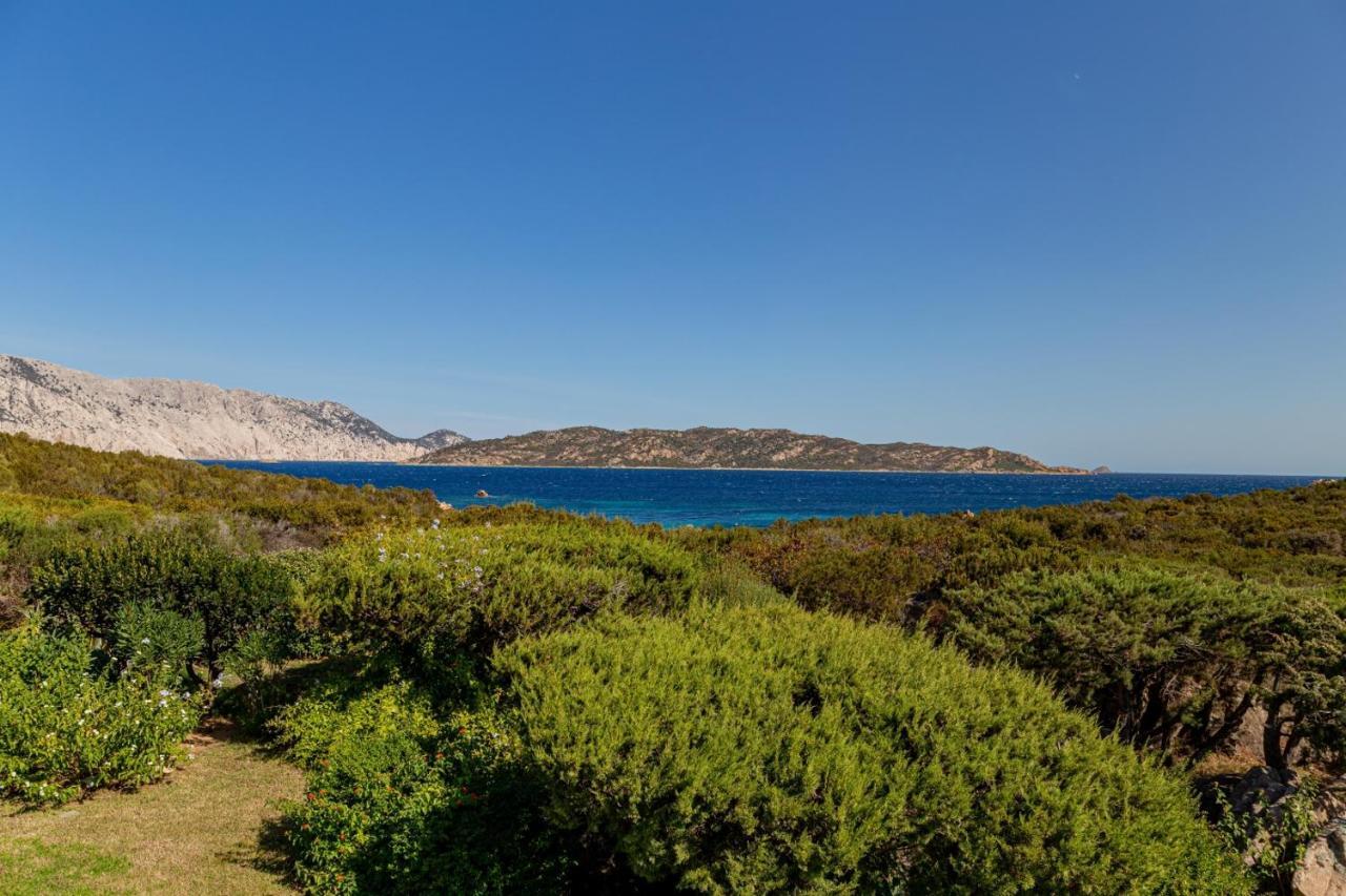 Appartamento Cala Paradiso San Teodoro  Dış mekan fotoğraf